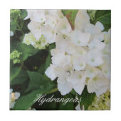 Elegant White Hydrangeas Fliese (Vorderseite)
