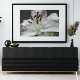Elegant White Oriental Lily Floral Poster