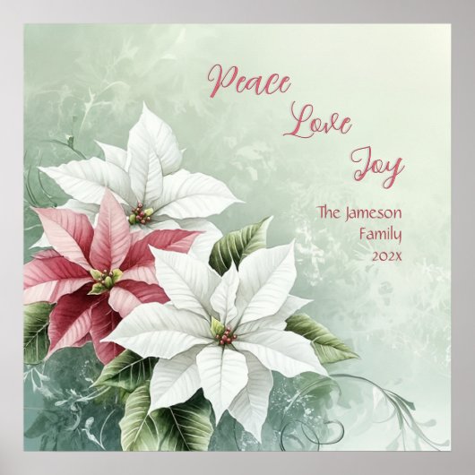 Elegant White Pink Christmas Poinsettias Poster (Vorne)