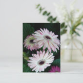 Elegant White & Pink Gerber Daisy Floral Postkarte (Stehend Vorderseite)