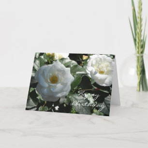 Elegant White Rose Geburtstag Karte
