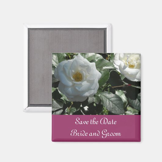 Elegant White Rose Save the Date Magnet (Vorderseite/Rückseite)