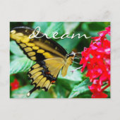 Elegant yellow black butterfly photo dream script postkarte (Vorderseite)