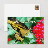 Elegant yellow black butterfly photo dream script postkarte (Vorne/Hinten)