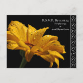 Elegant Yellow Gerber Daisy Wedding Einladung (Rückseite)