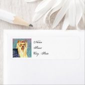 Elegant Yorkie (Insitu)