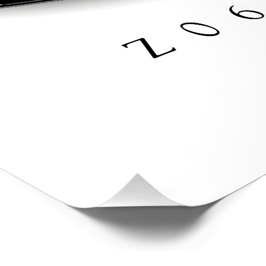 ELEGANT Z-06 VETTE ILLUSTRATION POSTER (Ecke)