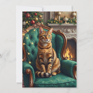 Elegante Abessinierkatze Regales Urlaubsporträt Ku Feiertagskarte