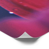 Elegante Abstrakte Regentropfen auf rosa Blume Pet Poster (Ecke)