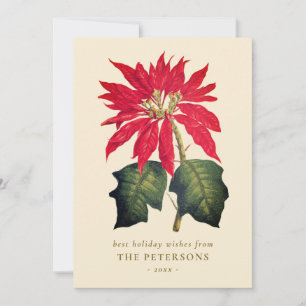 Elegante alte botanische Poinsettien-Blüte Feiertagskarte