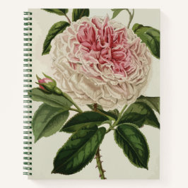 Elegante Alte Vintage Rose Blume Notizblock