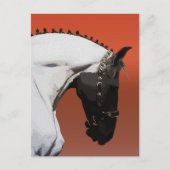 Elegante Andalusien - Mallorca Postkarte (Vorderseite)