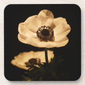 Elegante Anemonenblumen Foto Getränkeuntersetzer (Vorderseite)