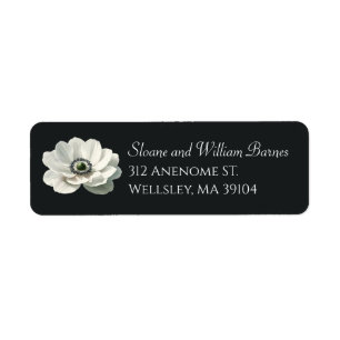 Elegante Anenome Blume Schwarz & Weiß
