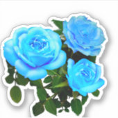 Elegante aquamarine blaue Rose Blütenblumen Aufkleber (Vorderseite)