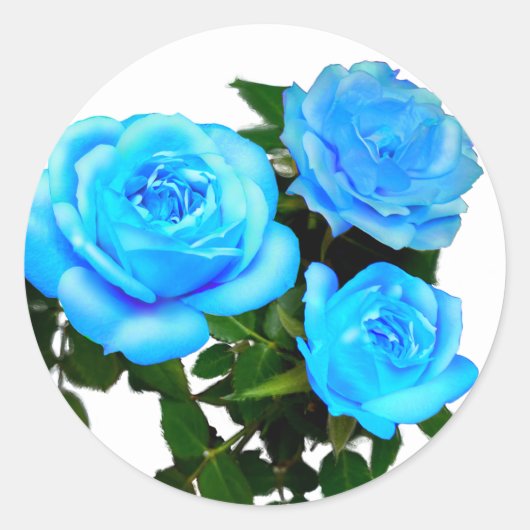 Elegante aquamarine blaue Rose Blütenblumen Runder Aufkleber (Vorderseite)