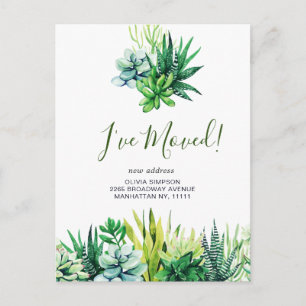 Elegante Aquarell-Sukkulenten-Uzugsankündigung Postkarte