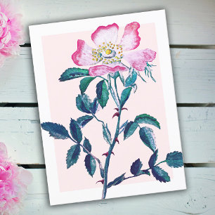 Elegante Aquarell-Wildrosen-Blume zum Muttertag Postkarte