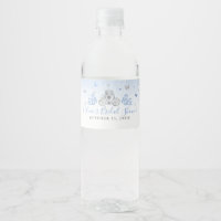 Elegante Baby Blue und Silver Princess Carriage