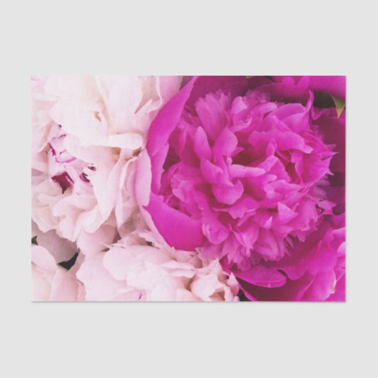 Elegante Baby Pink und Fuchsia Peonies Seidenpapier (Vorderseite)