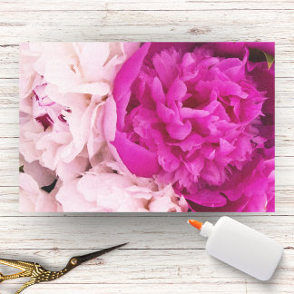 Elegante Baby Pink und Fuchsia Peonies Seidenpapier