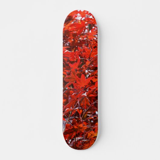 Elegante Blätter für japanisches Ahorn Skateboard (Vorne)