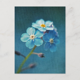 Elegante blaue Blumen Vergissmeinnicht Postkarte