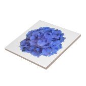 Elegante Blaue Immergrün-Blumen-Hortensien Fliese (Seite)