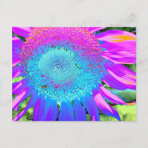 Elegante Blaue rosa lila retro Sonnenblume  Postkarte
