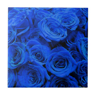 Elegante blaue Rosen blaue Blumen blaues Florales Fliese