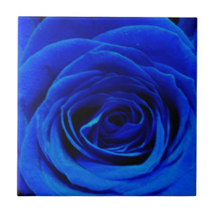 Elegante blaue Rosen blaue Blumen blaues Florales Fliese