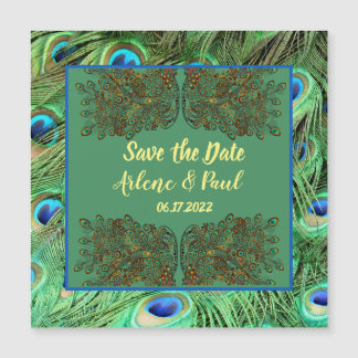 Elegante Blue Green Peacock Feather Card Magnetkarte