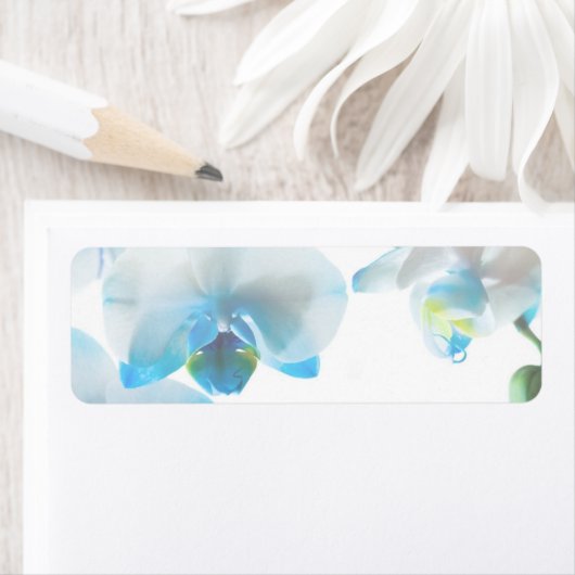 Elegante Blue Orchids Custom Labels (Insitu)