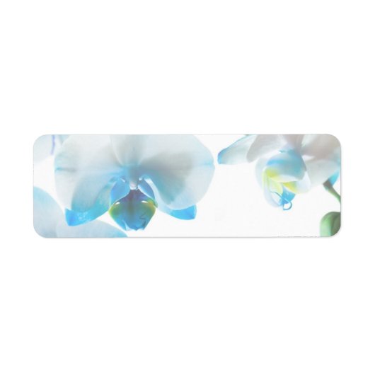 Elegante Blue Orchids Custom Labels (Vorne)