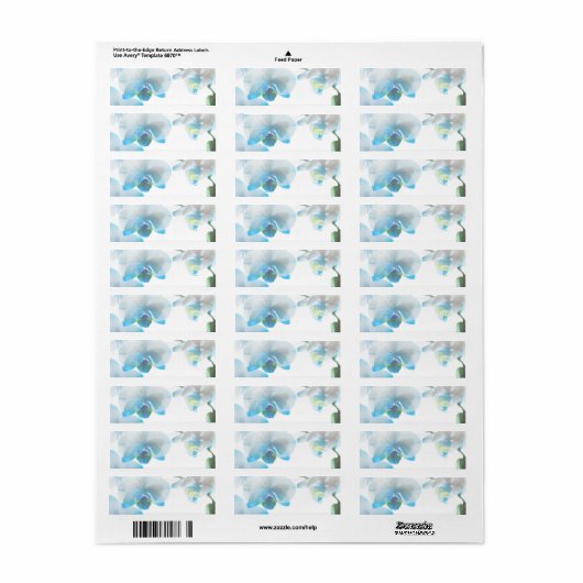 Elegante Blue Orchids Custom Labels (Vorne)