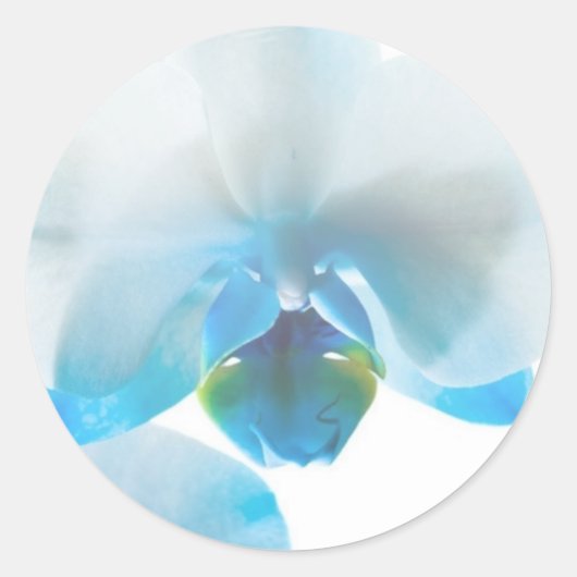 Elegante Blue Orchids Custom Stickers (Vorderseite)