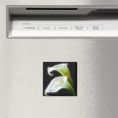 Elegante Blume Calla Lily 8 Moderne Magnet (In Situ (Geschirrspüler))