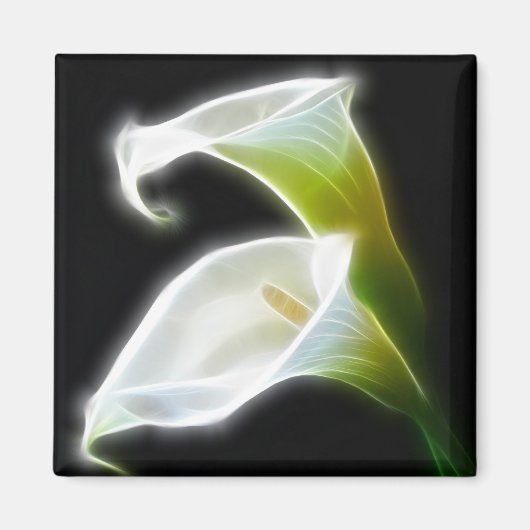 Elegante Blume Calla Lily 8 Moderne Magnet (Vorne)