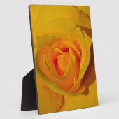 Elegante Blume Gelb Rose Fotoplatte (Seite)