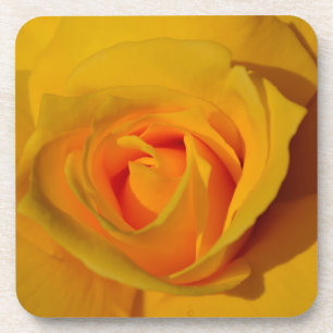 Elegante Blume Gelb Rose Getränkeuntersetzer