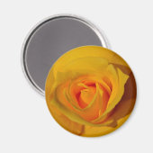 Elegante Blume Gelb Rose Magnet (Vorderseite/Rückseite)