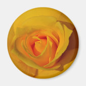 Elegante Blume Gelb Rose Magnet (Vorne)