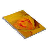 Elegante Blume Gelb Rose Notizblock (Rechte Seite)