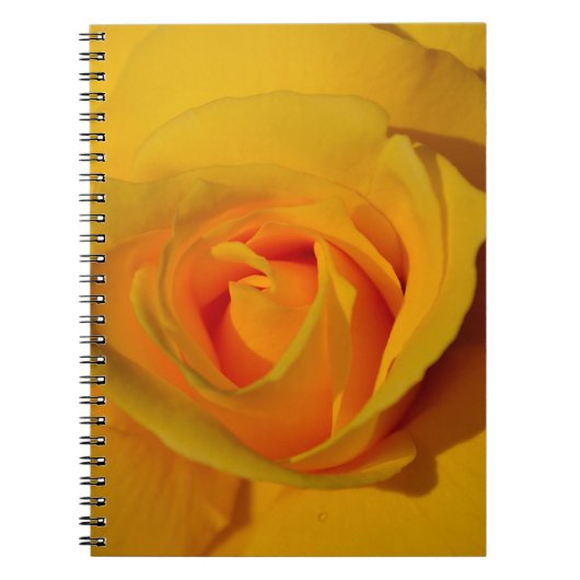 Elegante Blume Gelb Rose Notizblock (Vorderseite)