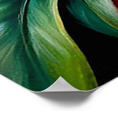 Elegante Blume in Rosa und Orange Orchideen Poster (Ecke)