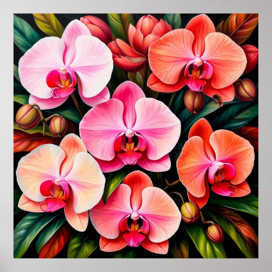 Elegante Blume in Rosa und Orange Orchideen Poster (Vorne)