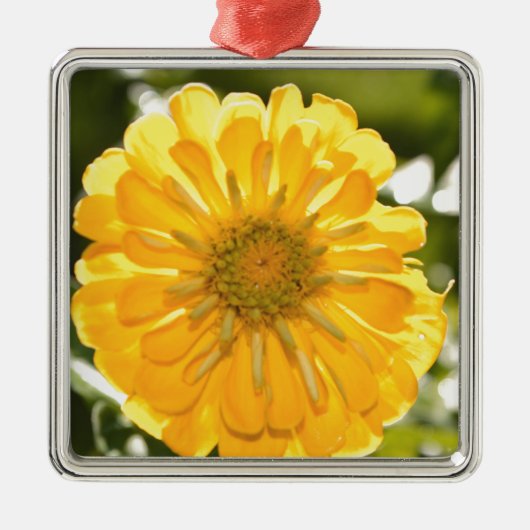 Elegante Blume mit Blumen Ornament Aus Metall (Vorne)