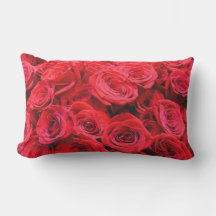 Elegante Blume mit Blumen Rote Rose Rose Garten