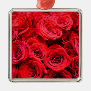 Elegante Blume mit Blumen Rote Rose Rose Garten Silbernes Ornament