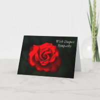 Elegante Blume Rote Rose Tief Beileid